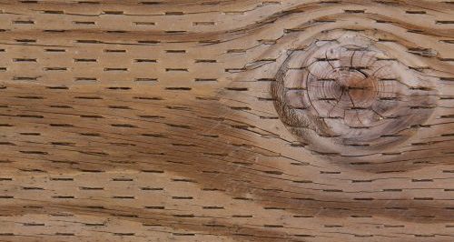 cropped-pressure-treated-wood-texture-grain-hole-pattern-stock-photo-5-500x316.jpg